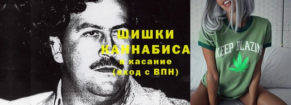 ПСИЛОЦИБИНОВЫЕ ГРИБЫ Алексеевка