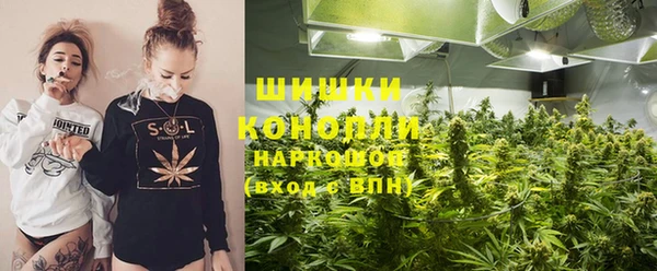 ПСИЛОЦИБИНОВЫЕ ГРИБЫ Алексеевка