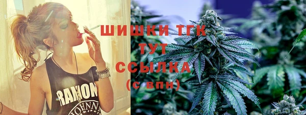 ПСИЛОЦИБИНОВЫЕ ГРИБЫ Алексеевка