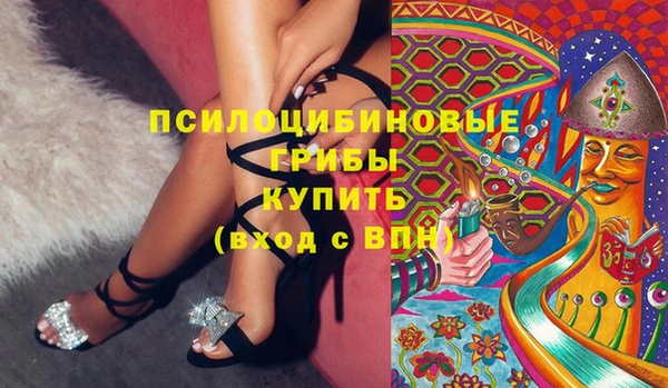 ПСИЛОЦИБИНОВЫЕ ГРИБЫ Алексеевка