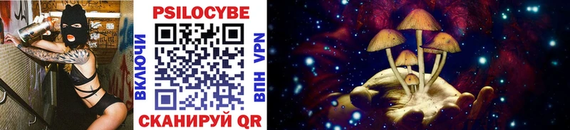 Галлюциногенные грибы Cubensis Полевской